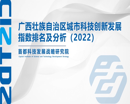 特大机巴操大逼免费看【成果发布】广西壮族自治区城市科技创新发展指数排名及分析（2022）